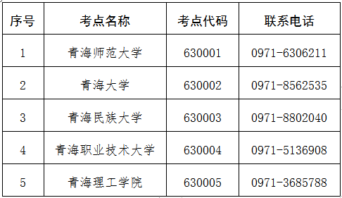 青海2026年9月全国计算机等级考试网上报名公告(图2)